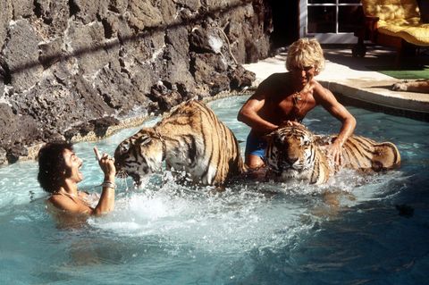 Siegfried und Roy