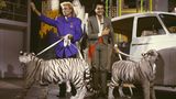 Auch in Deutschland werden Siegfried und Roy für ihren Erfolg gefeiert. Gerne kommen sie in ihre Heimat zurück. 1987 treten sie mit zwei weißen Tigern in der Show von Alfred Biolek "Mensch Meier" auf.