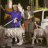 Auch in Deutschland werden Siegfried und Roy für ihren Erfolg gefeiert. Gerne kommen sie in ihre Heimat zurück. 1987 treten sie mit zwei weißen Tigern in der Show von Alfred Biolek "Mensch Meier" auf.