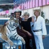 Siegfried und Roy, hier mit Gitte 1978, treten in ihren Shows mit Tigern auf und begründen damit ein neues Genre der Showunterhaltung. Genau das, was Las Vegas Ende der 1970er Jahre braucht. Die Stadt will weg von ihrem Spielerimage und dem alten Strip. Die Zukunft soll Unterhaltung für die ganze Familie sein. Da Siegfried und Roy statt auf leicht bekleidete Damen auf Tiere setzen, sind sie für die Casinomanager ein Volltreffer.