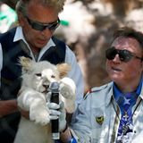 Roy Horn ist von dem Unfall schwer gezeichnet. Er ist gelähmt und sitzt im Rollstuhl. Ihre Liebe zu Tigern behalten aber beide bei. Nach wie vor wohnen sie gemeinsam mit den Tieren in Las Vegas.