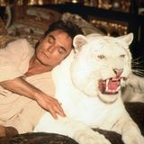 Der 3. Oktober 2003 wird zum Schicksalstag. Roy Horn erleidet während der Bühnenshow einen Schlaganfall, den er zunächst nicht bemerkt. In der Folge wird er von einem Tiger angefallen und schwer verletzt. Horn ist seitdem gelähmt. Der Unfall bedeutet das Ende ihrer Karriere als Magierduo. Ihre Show im Mirage stellen sie ein.