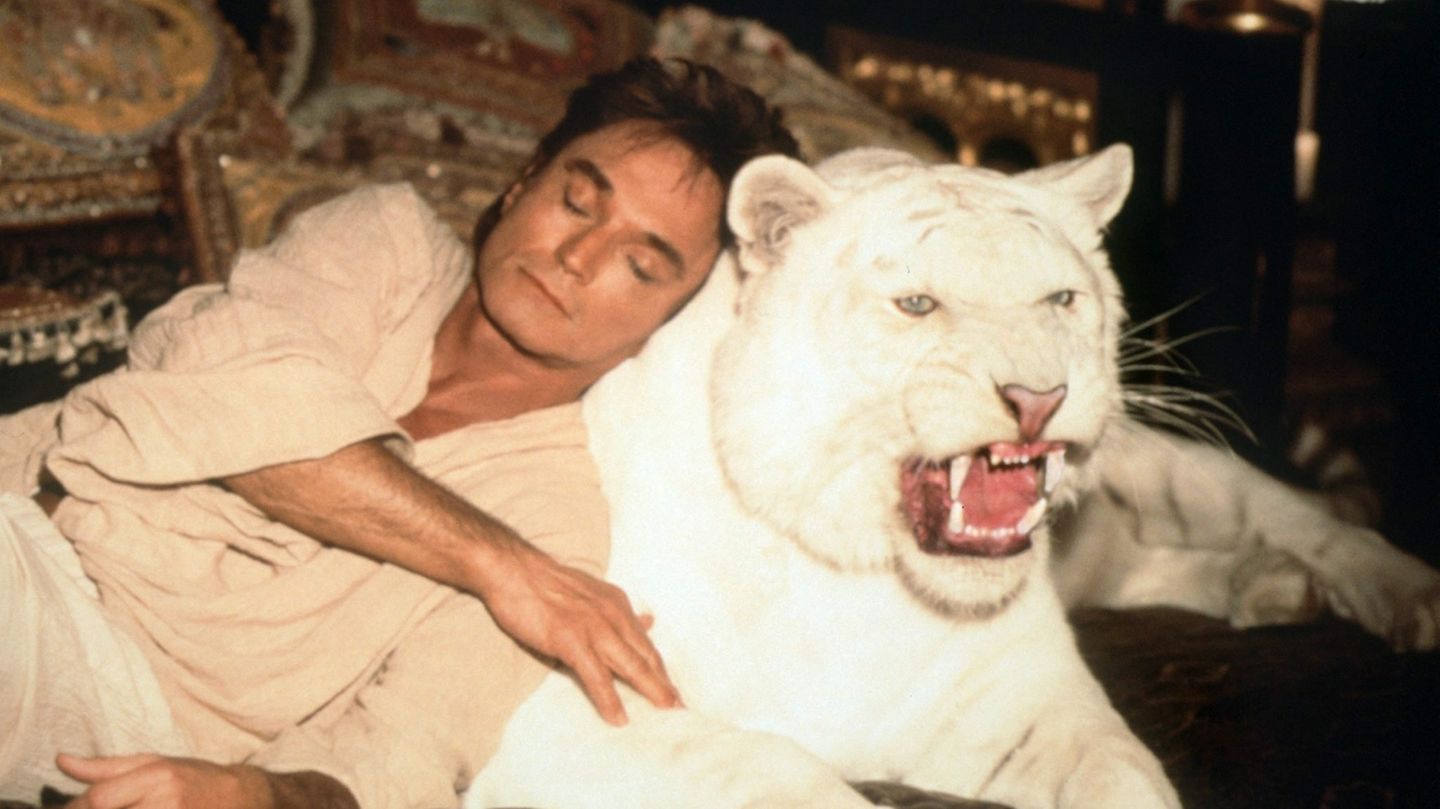 Roy Horn kuschelt mit einem Tiger Der 3. Oktober 2003 wird zum Schicksalstag. Roy Horn erleidet während der Bühnenshow einen Schlaganfall, den er zunächst nicht bemerkt. In der Folge wird er von einem Tiger angefallen und schwer verletzt. Horn ist seitdem gelähmt. Der Unfall bedeutet das Ende ihrer Karriere als Magierduo. Ihre Show im Mirage stellen sie ein.