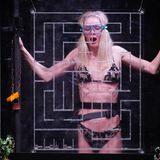 Das Leiden beginnt: Zoe Saip erfährt am eigenen Leib, dass auch in der Dschungelshow von Hürth Schlangen auf die Bewohner warten. Bei der ersten Dschungelprüfung von "Ich bin ein Star - Die große Dschungelshow" müssen drei Kandidaten gemeinsam antreten. Neben Zoe Saip steigen auch Mike Heiter und Frank Fussbroich in Container, die nach und nach geflutet werden.