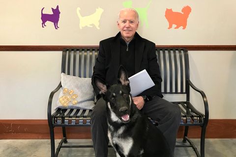 Joe Biden und sein Hund Major