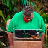 Zumindest die grauen Zellen kommen bei Fussbroich am Samstag in Schwung. In einer Plexiglasbox muss er unter allerlei Getier nach Codes suchen und - Achtung - sich diese merken. Mit den Zahlenkombinationen muss er Schlösser öffnen, die jeweils einen Stern ergeben. Klingt lösbar - doch Fussbroich guckt kritisch.