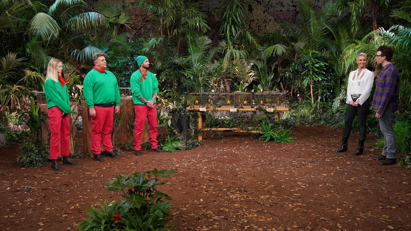 Sonja Zietlow und Daniel Hartwich begrüßen Zoe Saip, Frank Fussbroich und Mike Heiter zur Dschungelprüfung "Decodieren". Warum die Kandidaten als die drei Zwerge verkleidet sind, bleibt das Geheimnis von RTL. Offenbar hat der Sender vergessen, die Gasrechnung im Studio in Hürth zu bezahlen, denn vor allem Fussbroich klagt ständig, dass ihm zu kalt sei.