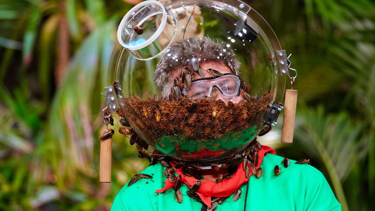 Dschungelshow: Frank Fussbroich bei der Prüfung Für die drei Dschungelshowbewohner ist die Prüfung eine willkommene Abwechslung. Auf ihren 18 Quadratmetern im Tiny House hat sich längst Lethargie breit gemacht. Gelangweilt sitzen die drei ihre Zeit ab. Da kommt so ein Kakerlakenbad für Frank Fussbroich doch gerade recht, oder?