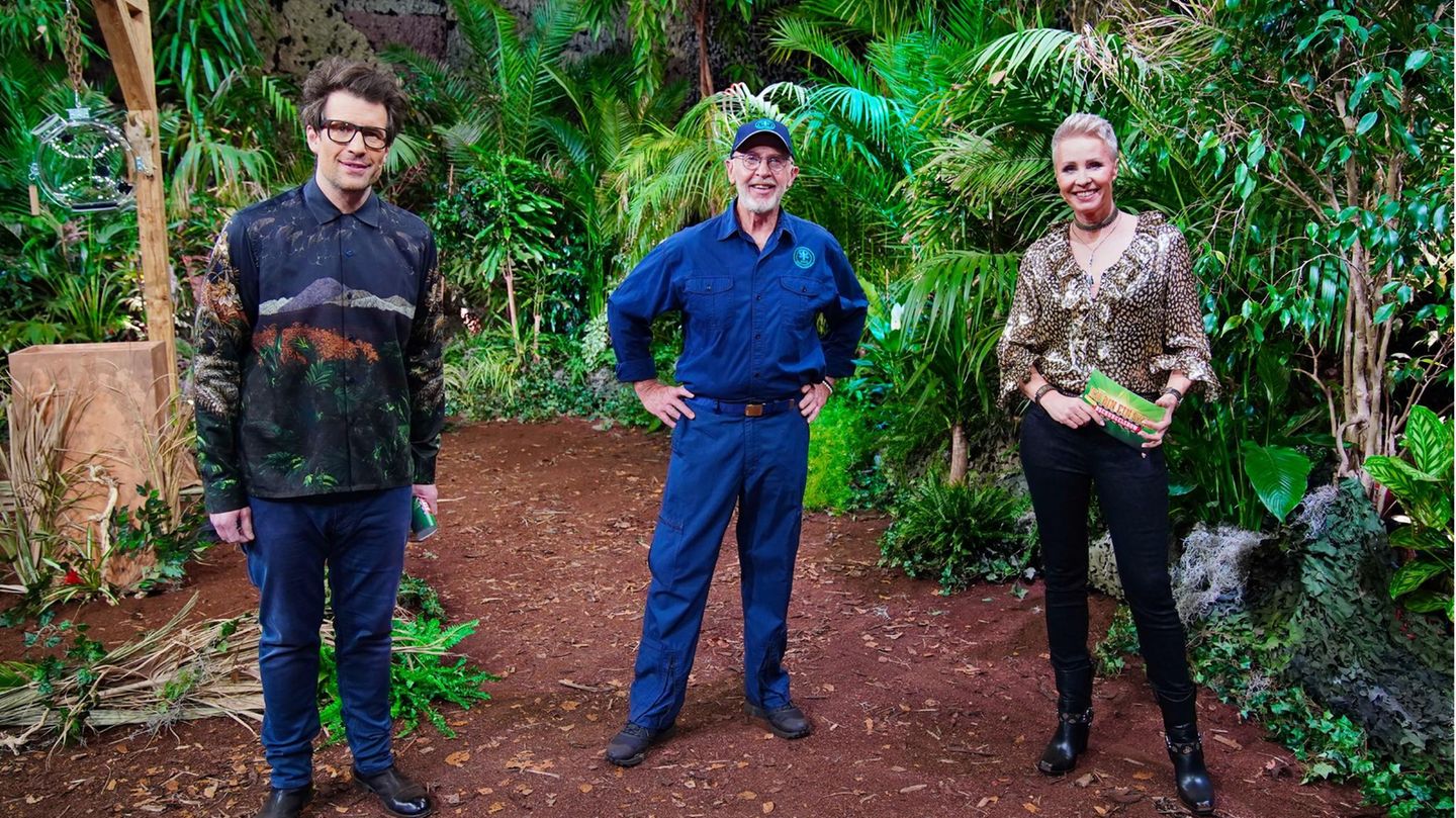 Dschungelshow: Daniel Hartwich, Dr. Bob und Sonja Zietlow