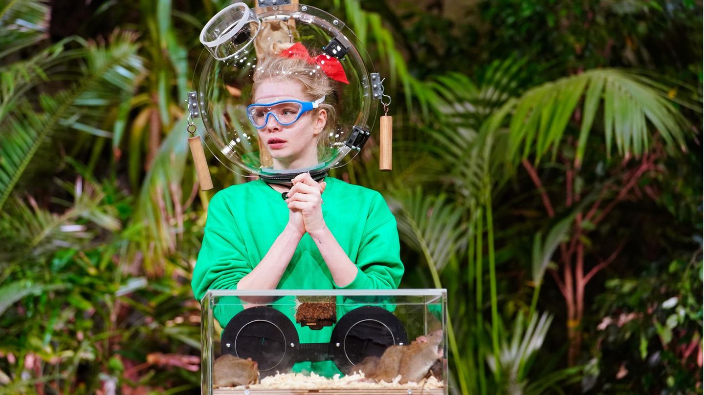 Wer welche Tierchen bekommt, hat sich RTL ausgesucht. Zoe Saip kriegt es jedenfalls mit Ratten zu tun. Ob diese fieser sind als die Sprüche von Frank Fussbroich?