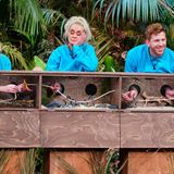 Sie müssen sich dabei hinter einer Reihe von drei sogenannten "Hellholes" stellen. Sobald sie auf Position stehen, öffnet ein Ranger die Frontverkleidung, sodass die Zuschauer sehen können, was sich darin befindet: Schlangen.