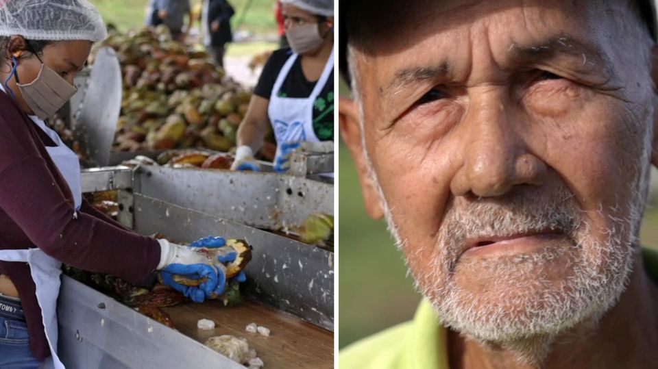 ¿Cómo se elabora nuestro chocolate de comercio justo?  Un comunicado de Nicaragua