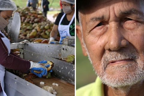 Wie wird unsere FairTrade-Schokolade produziert? Eine Reportage aus Nicaragua