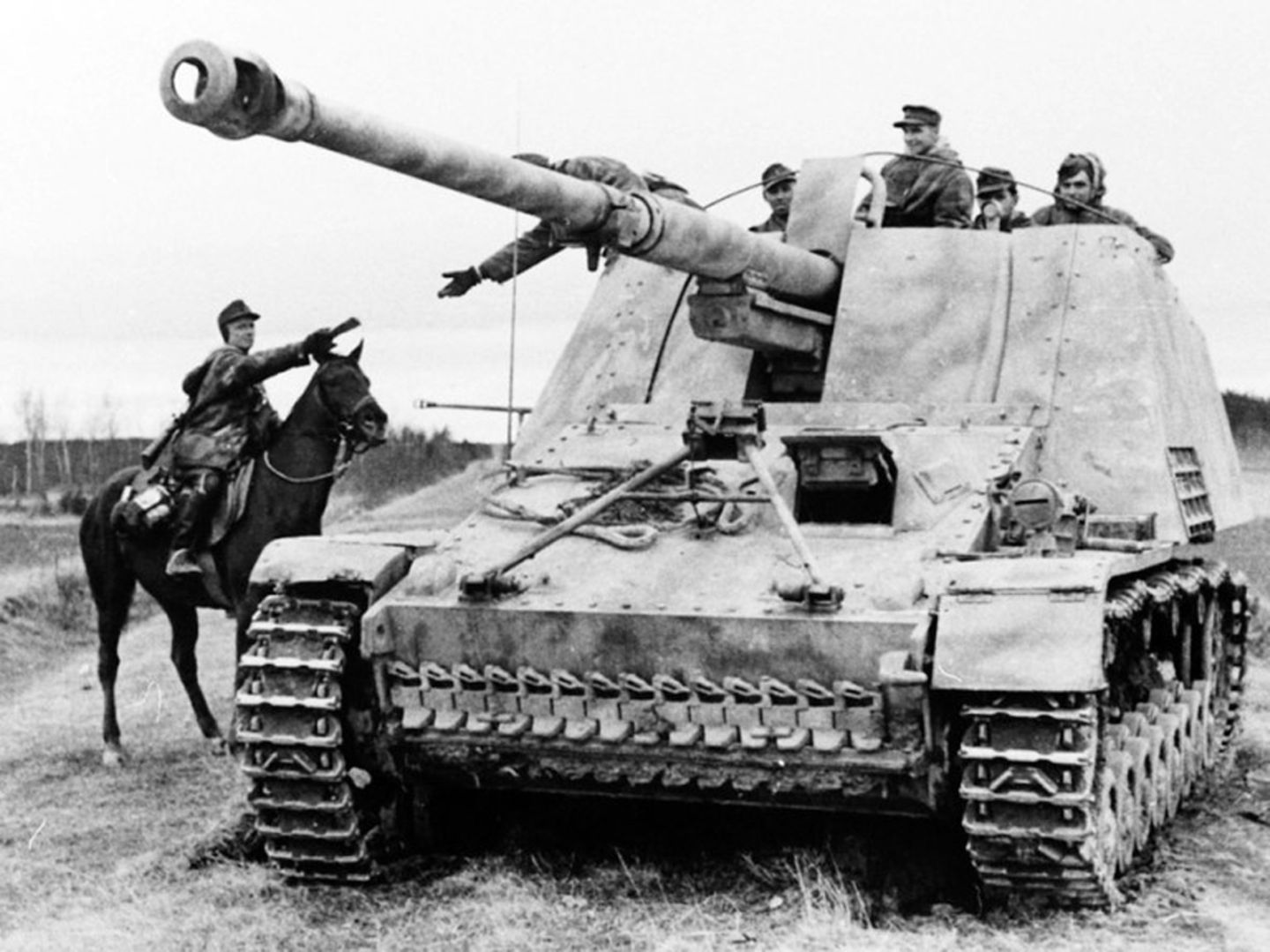 Nashorn - kleine Panzerjäger mit der legendären Acht-Acht-Kanone | STERN.de