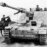 Auf dem Bild ist gut zu erkennen, wie hoch das Nashorn aufragt.