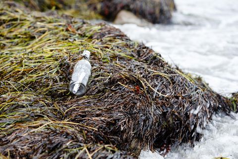 Eine Flasche mit einer Flaschenpost am Strand