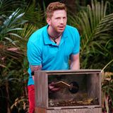 Die drei Kandidaten müssen in drei Hellholes greifen, in denen sich unterschiedliche Tiere befinden. In jedem Loch liegen zudem drei Holzplatten, auf denen je eine Kategorie geschrieben steht. Nacheinander muss nun je ein Kandidat nach vorne treten und aus dem Hellhole eine Holzplatte ziehen. 