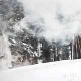 Blick aus dem Führerstand: Auf der Strecke nach Oberwiesenthal überwindet die Bahn einen Höhenunterschied von knapp 240 Metern.