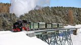 Die gut 18 Kilometer lange Schmalspurstrecke führt auch über das Viadukt Hüttenbachtal