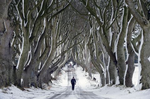 Polarwirbel kollabiert: Warum uns wahrscheinlich ein langer, kalter Winter bevorsteht