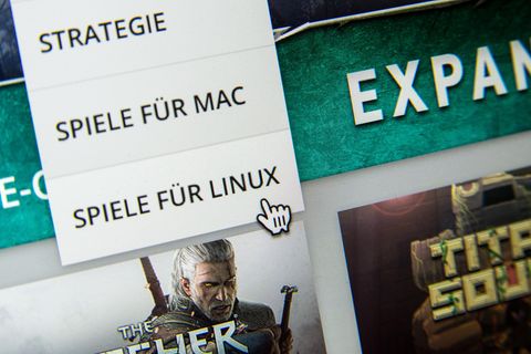 Das Suchmenü für die Suche nach Spielen für Mac und Linux auf der Downloadplattform Steam von Valve, aufgenommen 2015