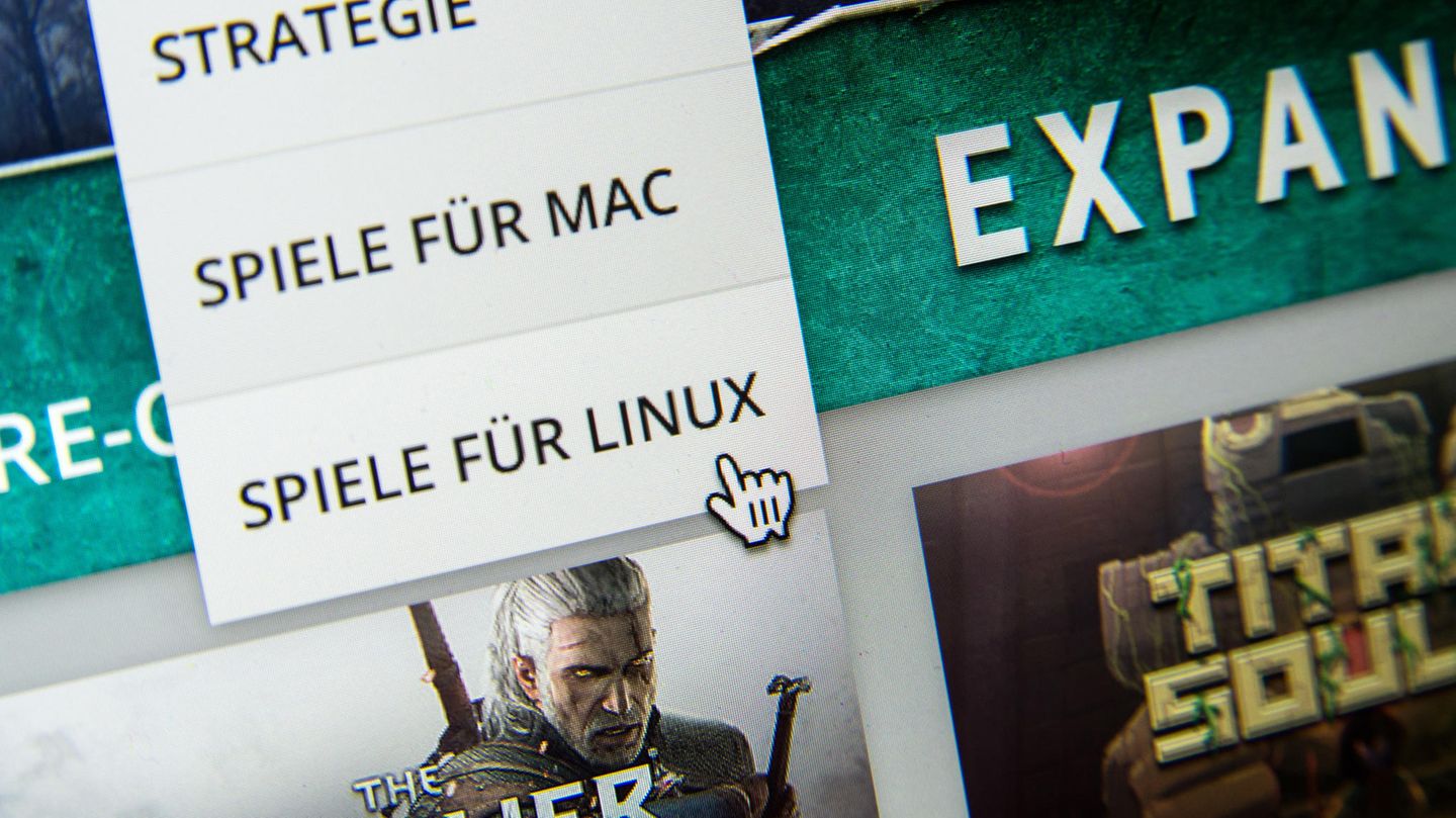 Das Suchmenü für die Suche nach Spielen für Mac und Linux auf der Downloadplattform Steam von Valve, aufgenommen 2015
