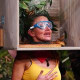 Die Kandidaten müssen ihre Köpfe in Holzboxen stecken, um dann Fragen von Sonja Zietlow und Daniel Hartwich zu beantworten. Allerdings bleiben sie in ihrer Kiste nicht lange allein. Dimitriou bekommt es mit Schlangen zu tun. Vor denen hat sie allerdings am meisten Angst.