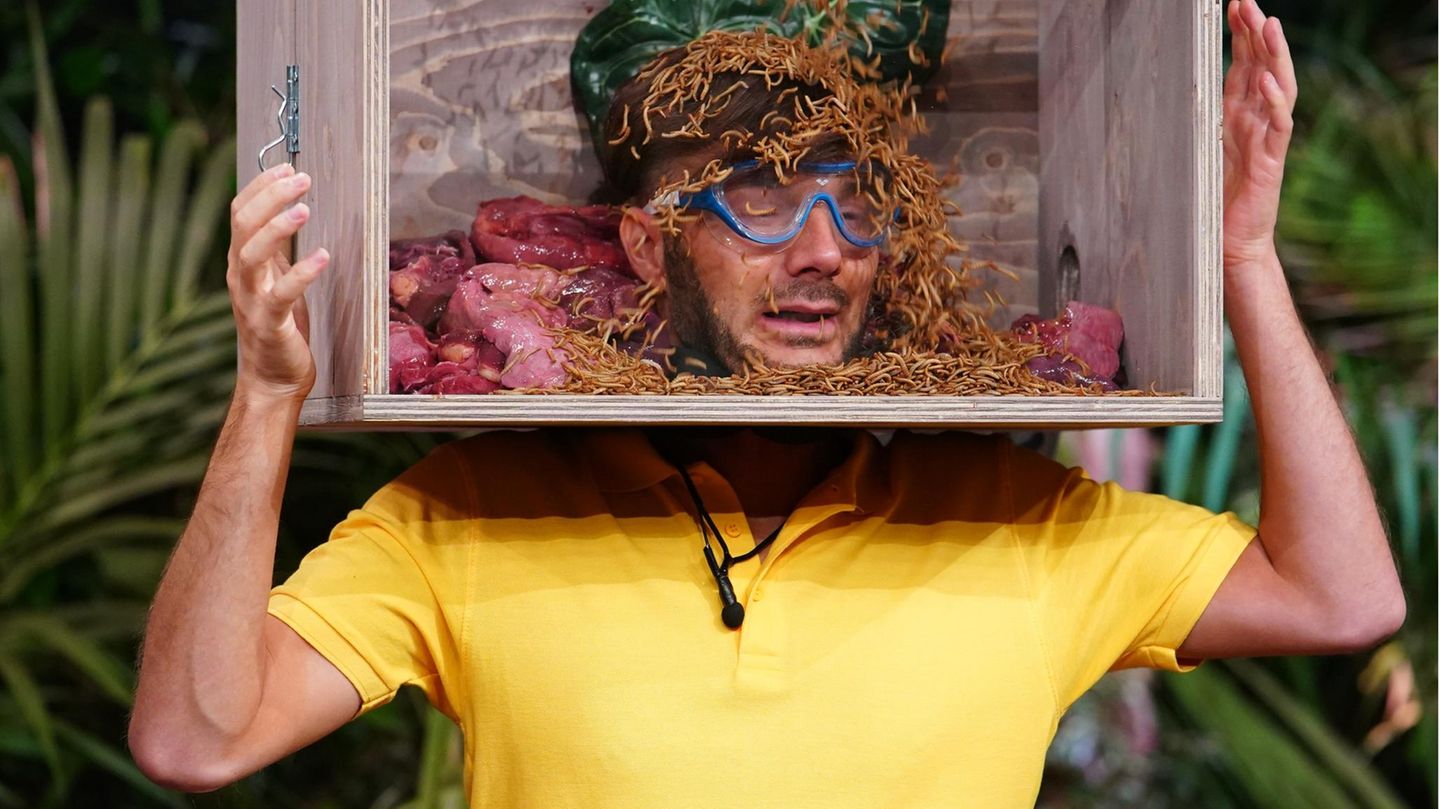 Sam Dylan ergeht es nicht viel besser. Er bekommt Fleischabfälle und Maden in seine Box, doch die sind sein geringstes Problem. Der schwule "Prince Charming"-Kandidat ist klaustrophobisch. 