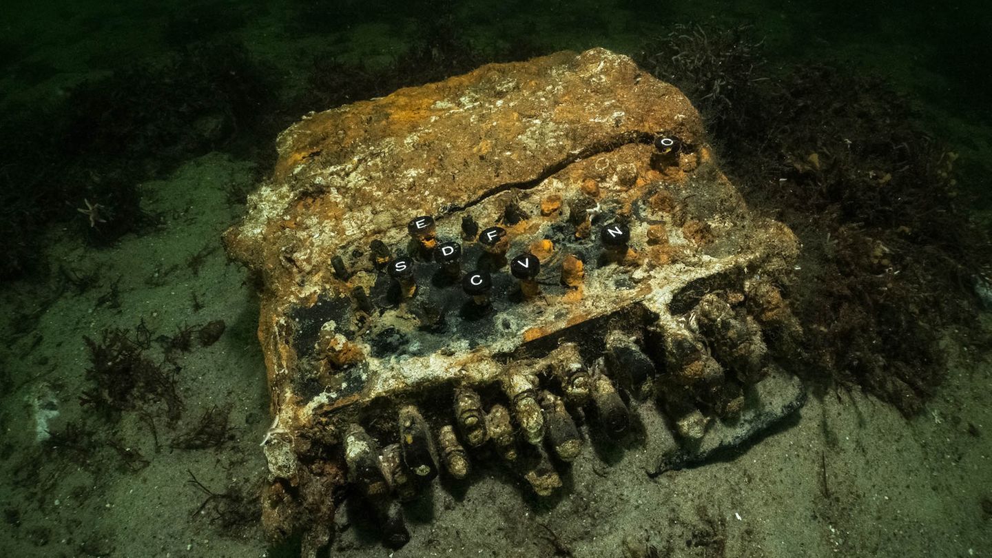 Eine Enigma-Chiffriermaschinen in der Ostsee, November 2020