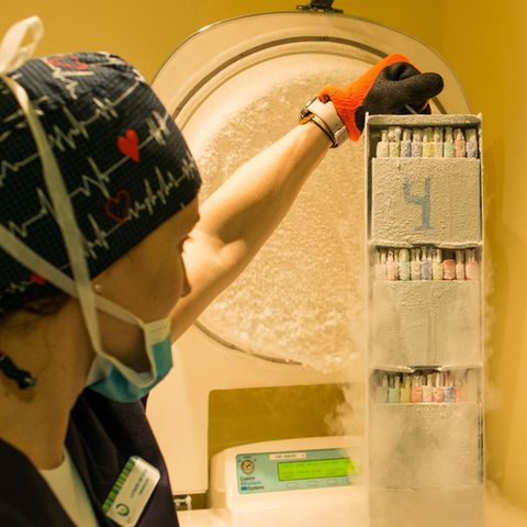 Späte Schwangerschaft: Reproduktionsmedizinerin: "Beim Einfrieren werden Eizellen oft geschädigt"