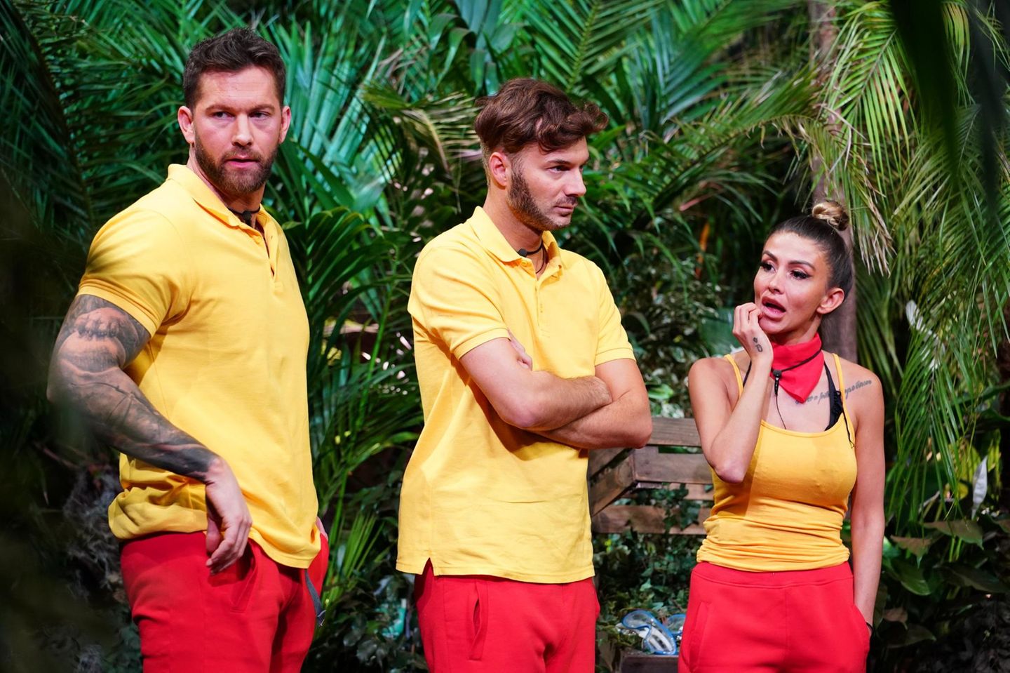 Es ist der achte Tag der Dschungelshow und der zweite Tag für sie: Oliver Sanne, Sam Dylan und Christina Dimitriou müssen zur Dschungelprüfung antreten, und wirken alles andere als begeistert.