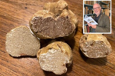 "Die Trüffel: Fake & Facts"