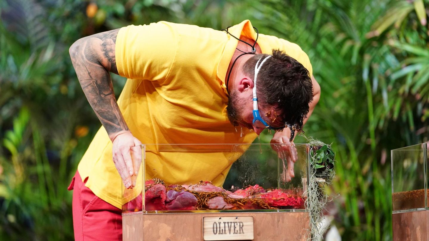 Oliver Sanne darf sich auf stinkende Fleischabfälle freuen. Doch der Ex-Bachelor ist nicht nur bei Frauen furchtlos, sondern auch bei der Prüfung.