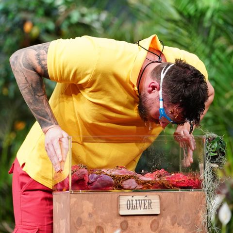 Oliver Sanne darf sich auf stinkende Fleischabfälle freuen. Doch der Ex-Bachelor ist nicht nur bei Frauen furchtlos, sondern auch bei der Prüfung.