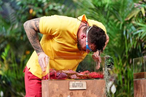 Oliver Sanne darf sich auf stinkende Fleischabfälle freuen. Doch der Ex-Bachelor ist nicht nur bei Frauen furchtlos, sondern auch bei der Prüfung.
