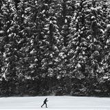 Die Loipe hat dieser Langläufer in der Nähe von Kaltenbrunn bei Garmisch-Partenkirchen für sich alleine