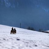 Hoch zu Ross im Schnee: Zwei Frauen durchstreifen im Schwangau auf ihren Pferden die winterliche Landschaft