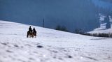 Hoch zu Ross im Schnee: Zwei Frauen durchstreifen im Schwangau auf ihren Pferden die winterliche Landschaft