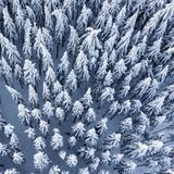 Bild 1 von 15 der Fotostrecke zum Klicken:  Schneebedeckt sind die Baumwipfel im Wald am Feldberg im Taunus