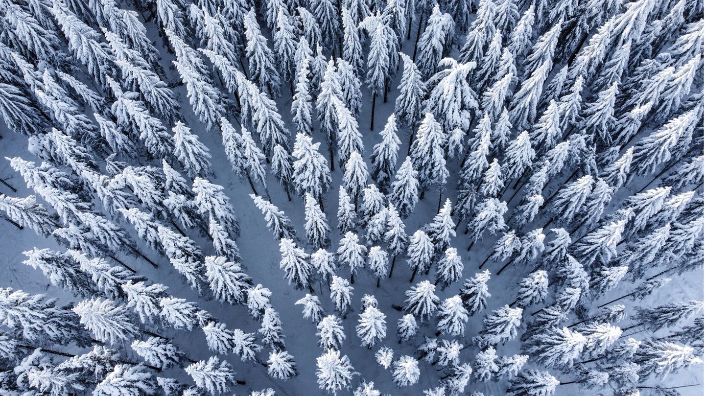 Verschneite Landschaften: So schön kann Deutschland im Winter sein |  STERN.de