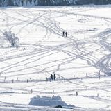 Im Gegenlicht bei Sonnenschein: Menschen genießen während eines Spaziergangs die verschneite Landschaft auf dem Schauinsland in Baden-Württemberg.