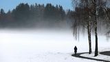 Spaziergang unter einer Birkenallee bei Bad Wörishofen: Aus verschneiten Wiesen steig weißer Nebel empor.