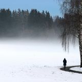 Spaziergang unter einer Birkenallee bei Bad Wörishofen: Aus verschneiten Wiesen steig weißer Nebel empor.