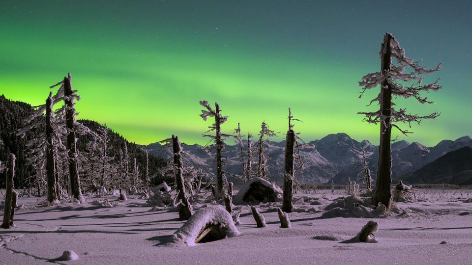 Langzeitbelichtung in einer Vollmondnacht: Der Schnee reflektiert das Licht, die Bäume werfen lange Schatten.
