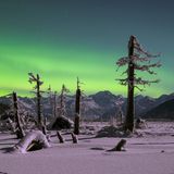 Langzeitbelichtung in einer Vollmondnacht: Der Schnee reflektiert das Licht, die Bäume werfen lange Schatten.