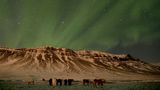 Aufgrund der Pferdeherde im Vordergrund fällt die Ortsbestimmung leicht: Auf Island fing die Fotografin die Polarlichter ein. Im Hintergrund sind die Berge der Snæfellsnes-Halbinsel zu sehen
