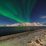 In einer Neuschneenacht: Nordlichter über den Lofoten