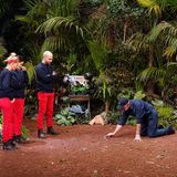 Aufrecht geh'n ist nicht: Dr. Bob erklärt den drei Kandidaten anschaulich, dass sie nur kriechend im Tunnel weiterkommen. Denn ihre Dschungelprüfung lautet "Down Under". Xenia von Sachsen, Rowe und Pavlovic müssen durch einen engen Tunnel unter der Erde kriechen.