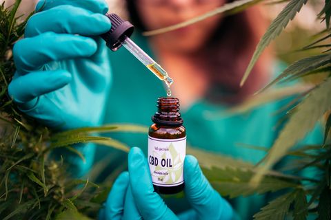 CBD-Öl