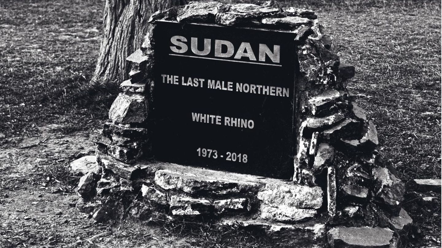 Das Grab von Sudan
